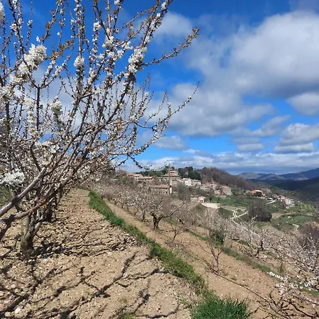 Maison De Leo Bas Au Coeur Des Cevennes شقة